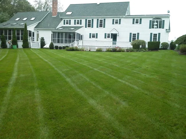 The Lawn King researched project photo