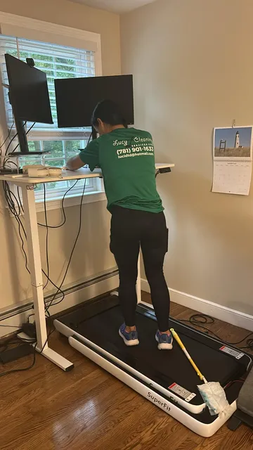 Lucy cleaning service in Rockland, MA