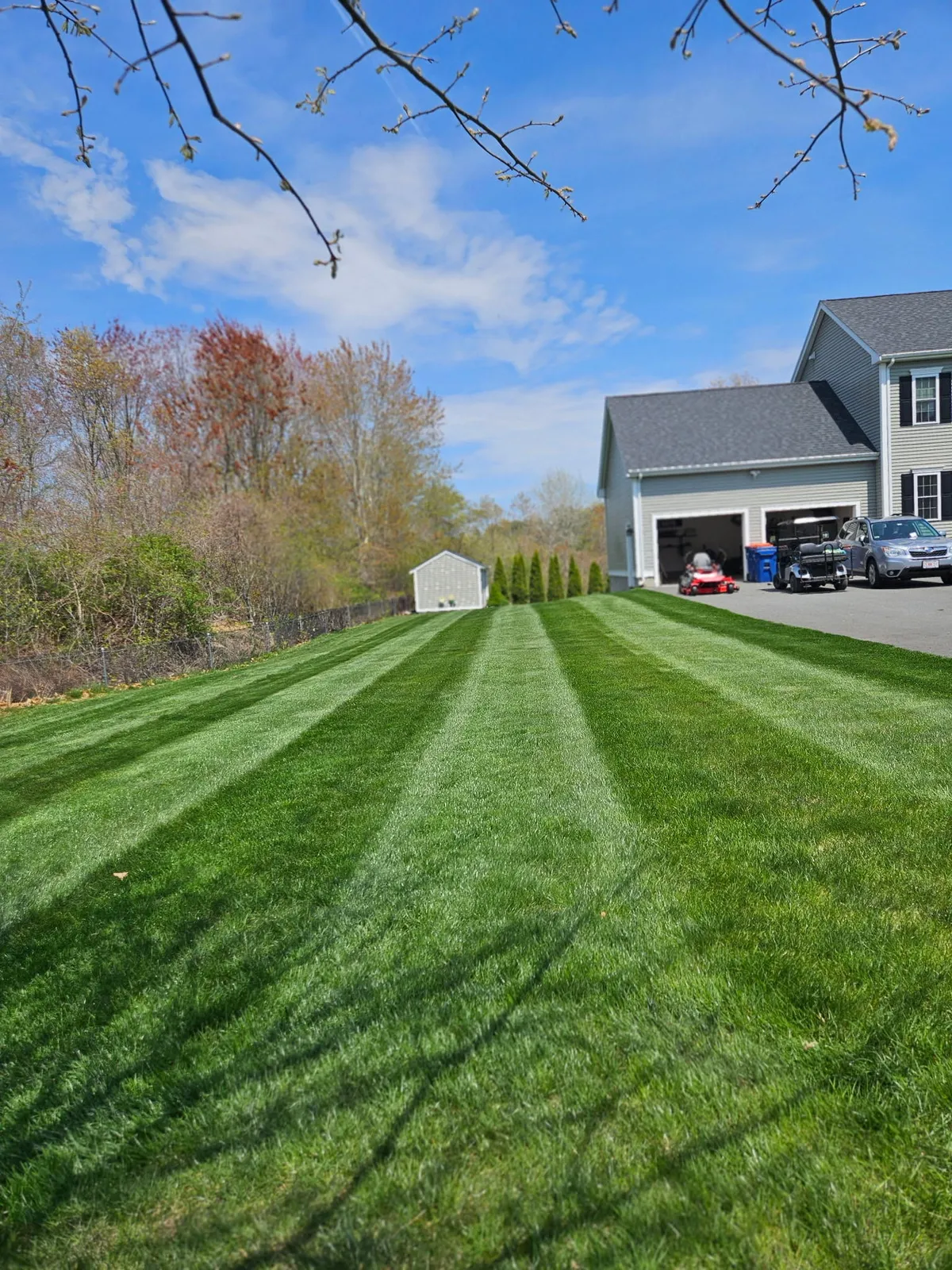 PROTURF lawn transformation