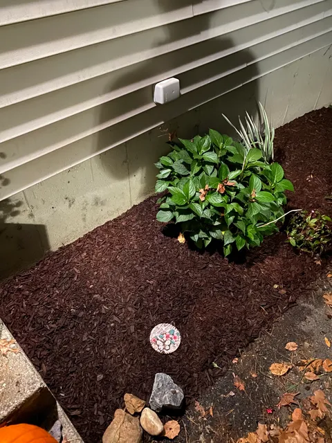 Peters lawn care work photo