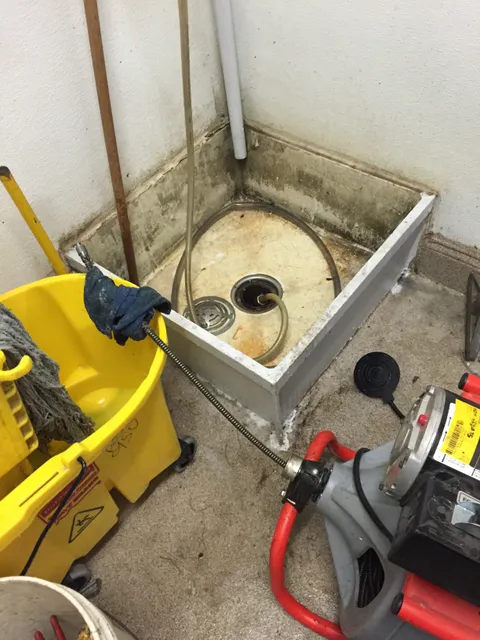 Drain King Royal Flush work photo