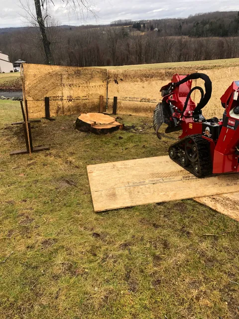 DC’s Stump removal LLC work photo