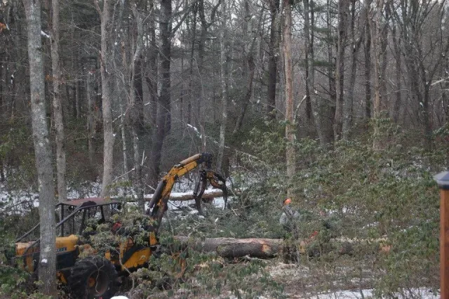 A bulldozer clearing fallen trees and bushes from a forested area, with a worker in a hard hat nearby.