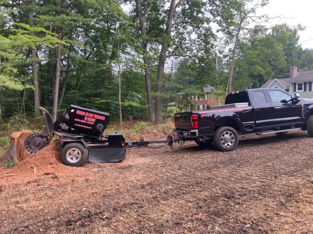 Curtis Stump Grinding Service work photo