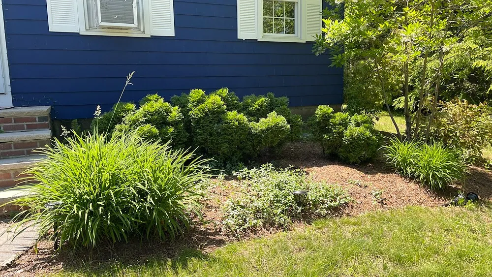 work photo from foxprolandscaping.com