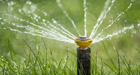 Sprinkler