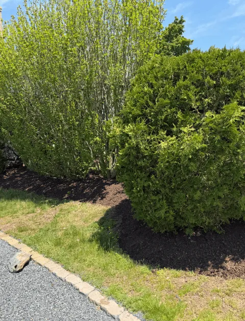 work photo from orteltlandscaping.com