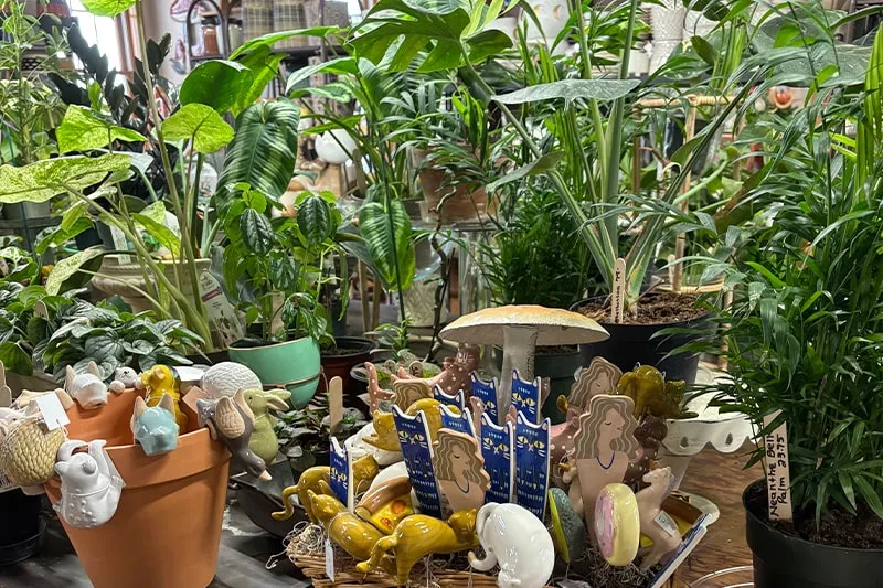 work photo from echobrooknursery.com