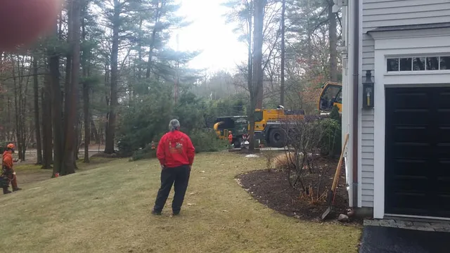 work photo from johncarusolandscaping.com