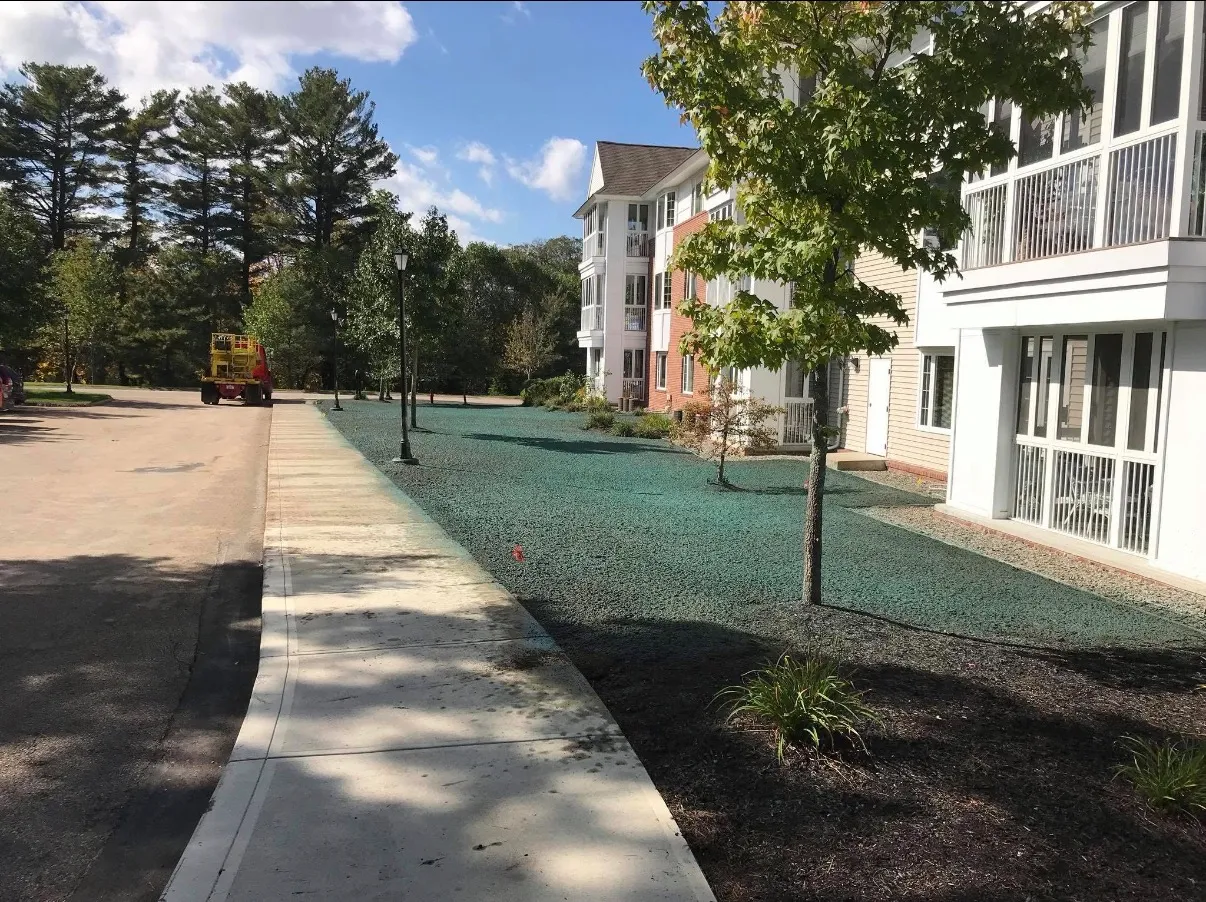 Towne Tree & Landscaping