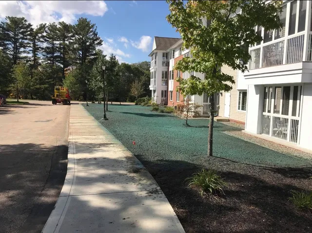 Towne Tree & Landscaping