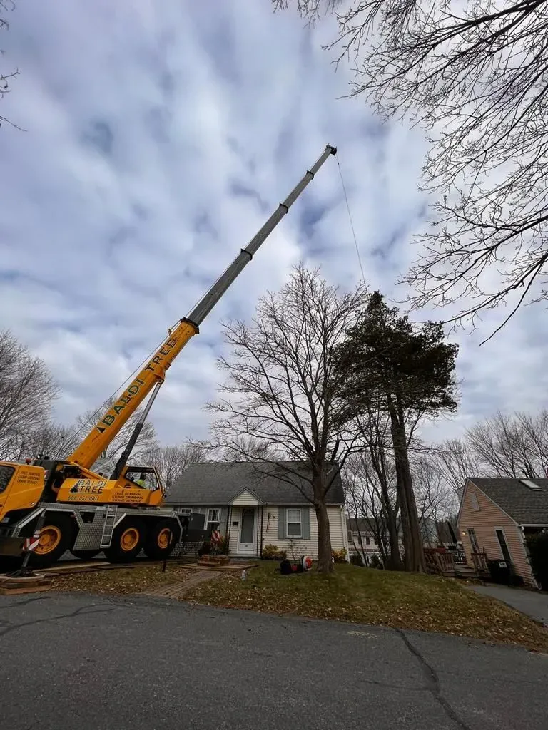 Crane Service