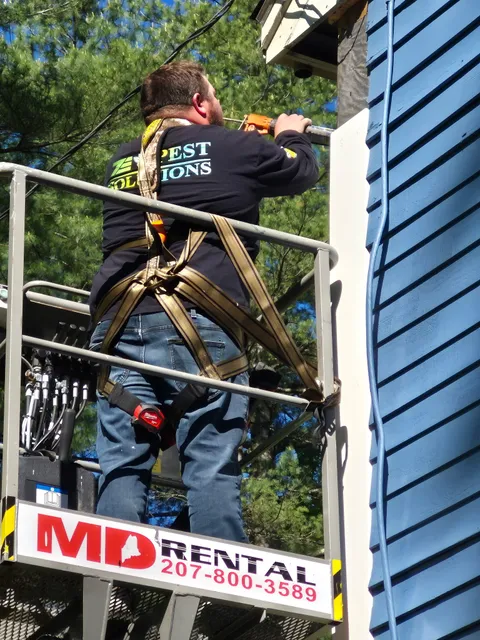 7E Pest Solutions work photo