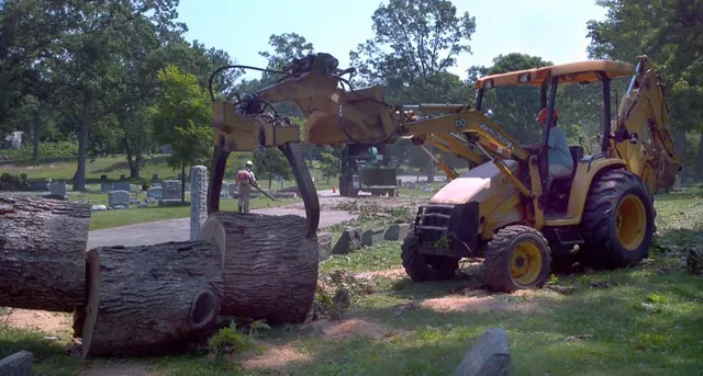 Sepples Tree Service work photo