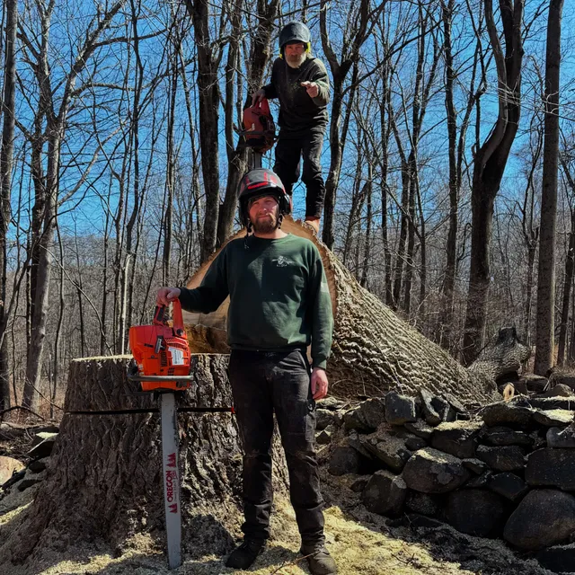 Ridge Woodlands Tree and Forestry LLC work photo