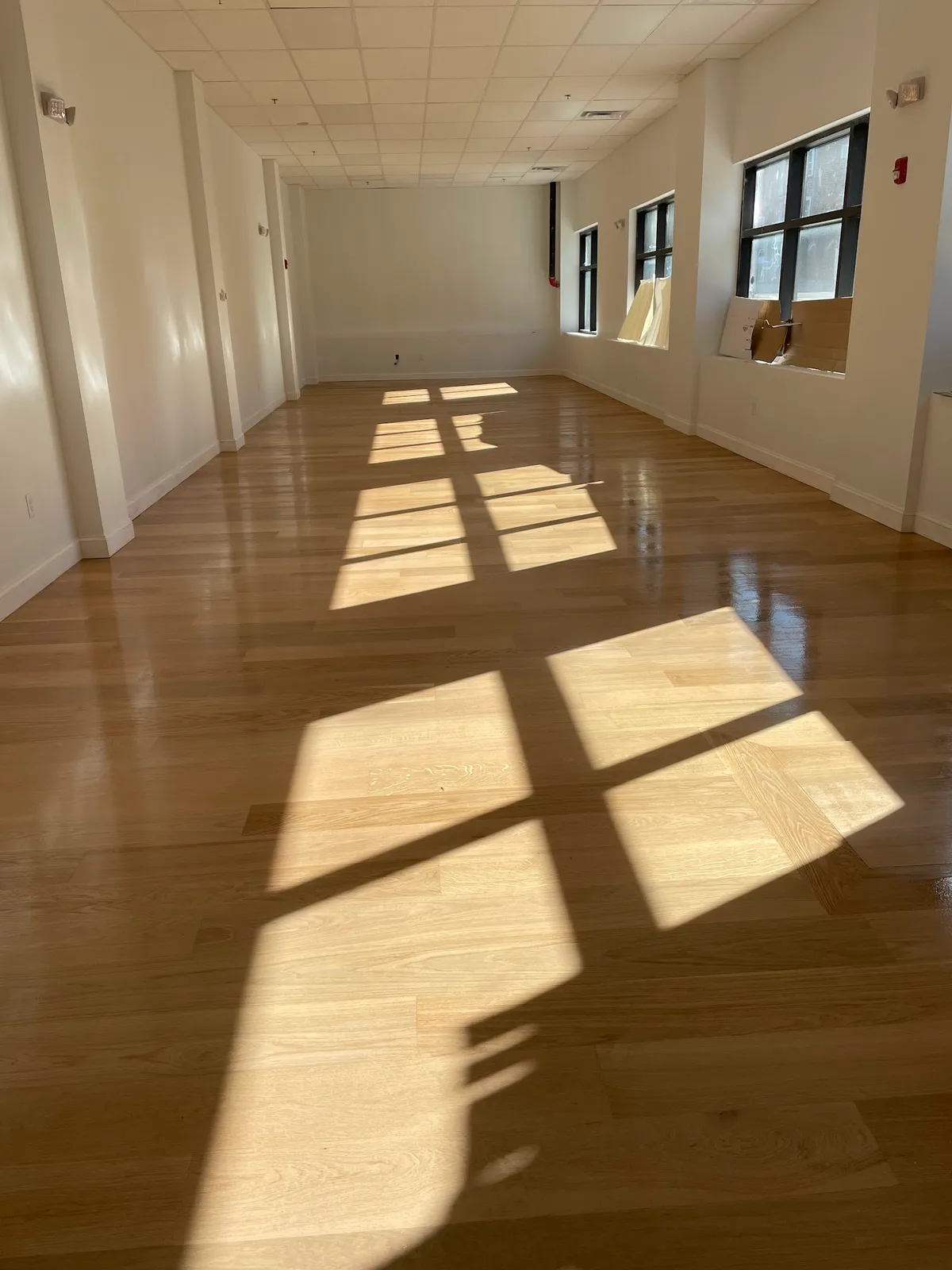 Ty floors