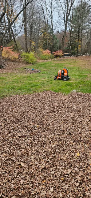 work photo from elephantearslandscaping.com
