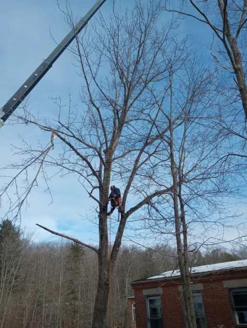 Crane removal to ensure the safety of our team and the property.