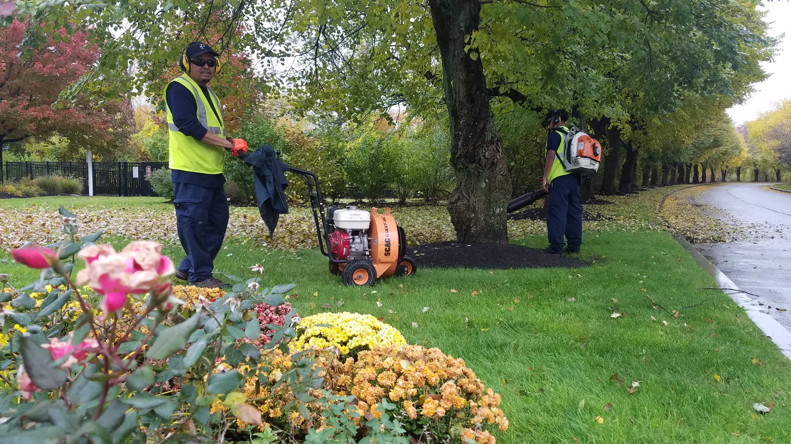 work photo from Google listing