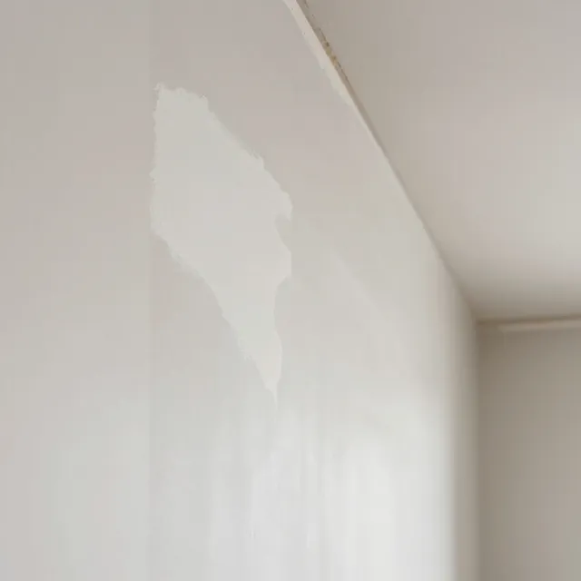 work photo from renuwallandceiling.com
