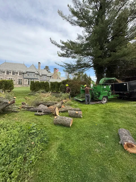 Cutting Crew Landscaping LLC work photo