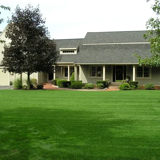 B & D Construction Co., Inc. researched project photo