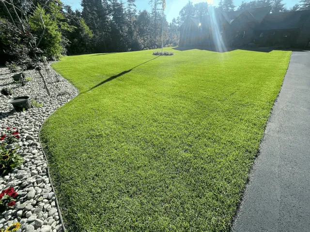 Mighty Lawn Banner