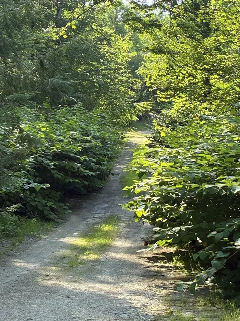 work photo from invasiveweedcontrol.com