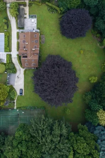 Aerial view of a large residential property with manicured lawn and mature trees, landscaped by Artisan Grounds on the New Hampshire Seacoast.