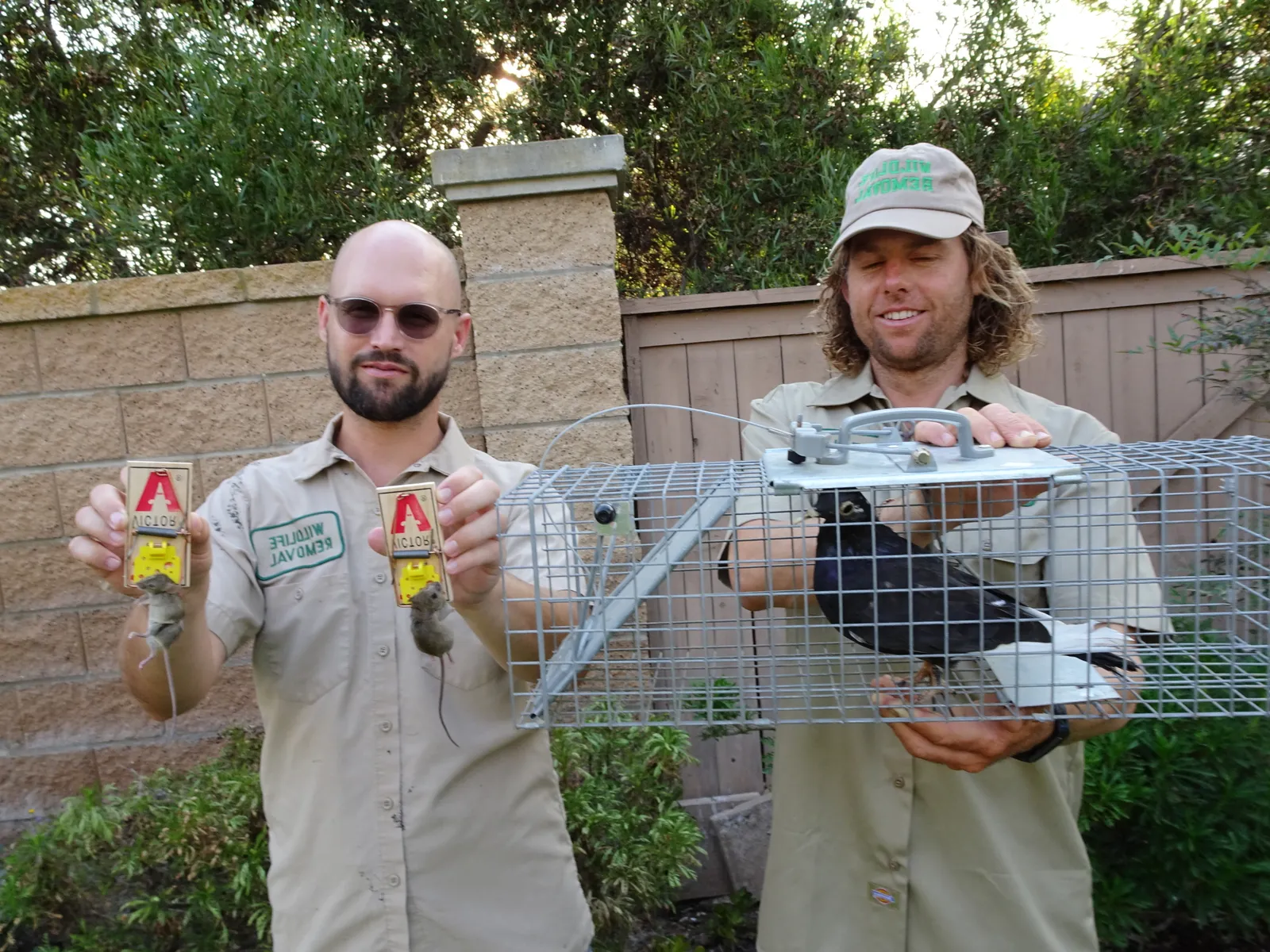 work photo from Google listing