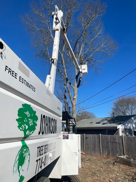 Johnson Tree Services, LLC work photo