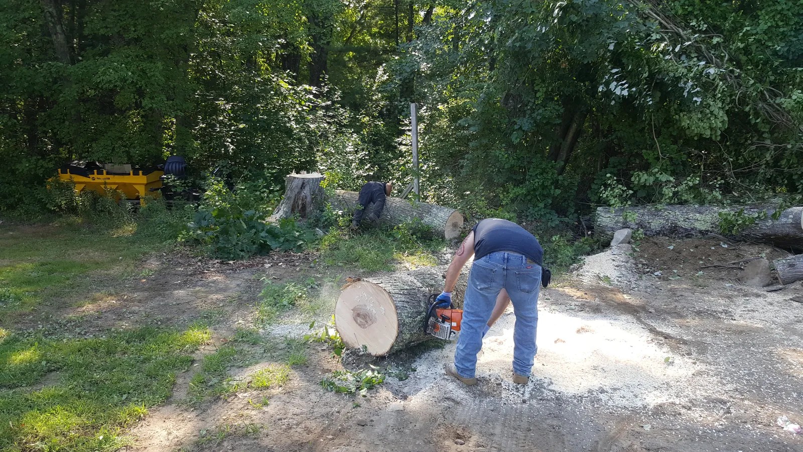 work photo from Google listing