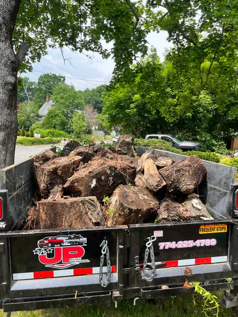 Jp Junk Removal & Landscape work photo