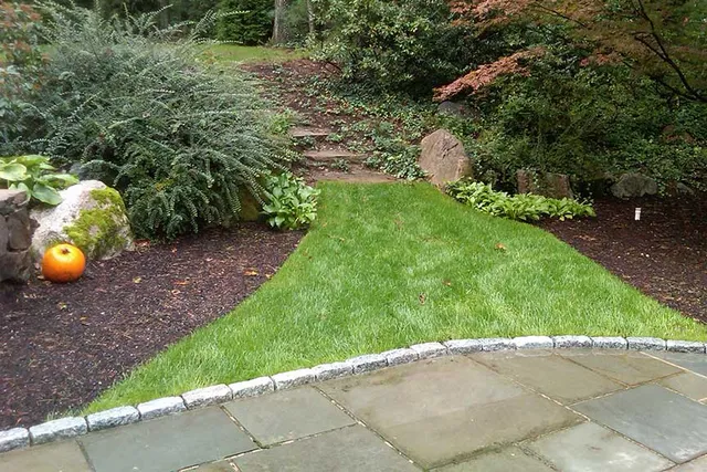 Weston Property Management - Landscape Maintenance