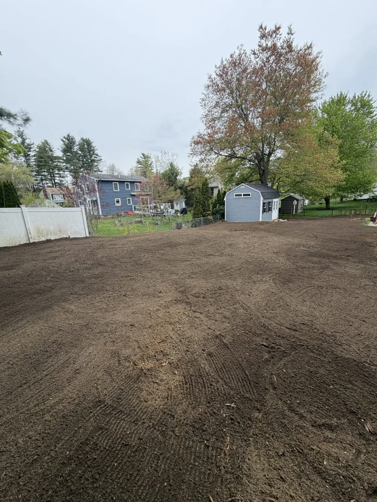 Open garden space with trees and shed