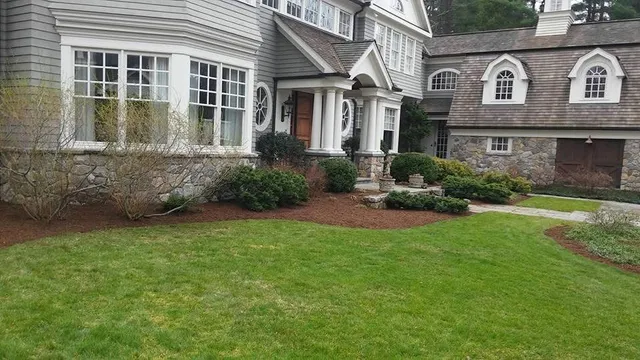 Landscape design