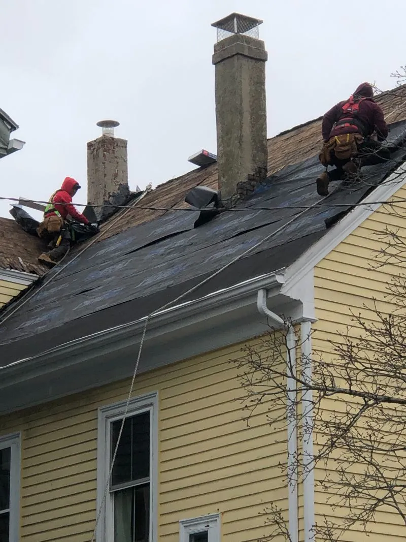 roofing specialists at Rapid Roofing