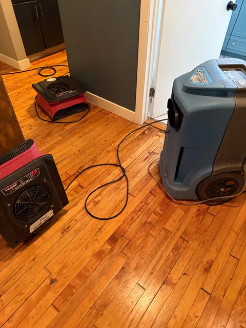 Longo Carpet Cleaning and Restoration work photo