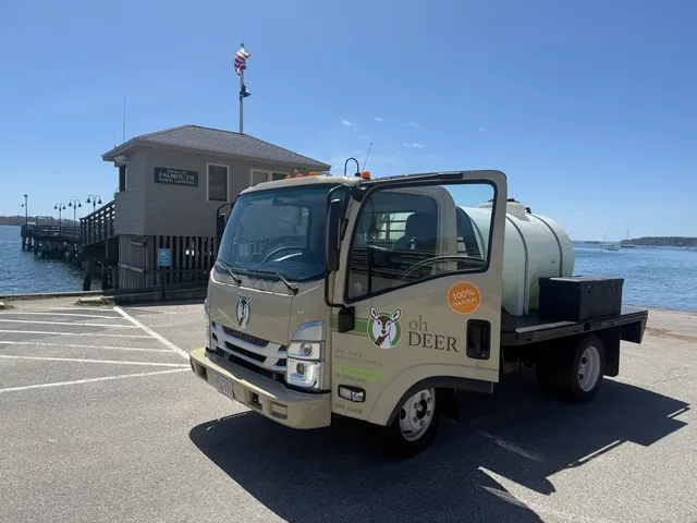 ohDEER Portland ME work photo
