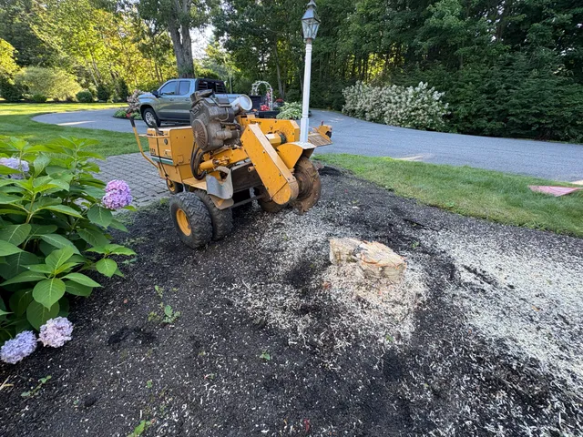 Grizzly Stump Grinding work photo