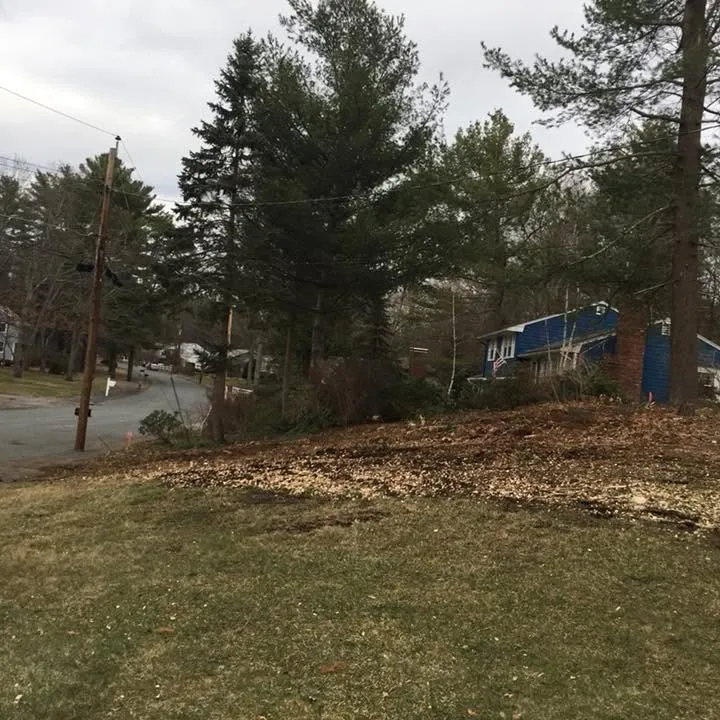 Mario's Lawncare researched project photo