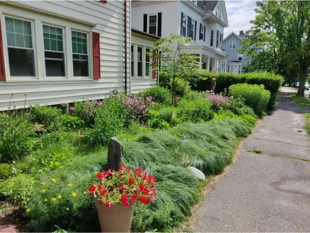 Front yard garden in residential neighborhood with flower beds, shrubs, and a potted plant.