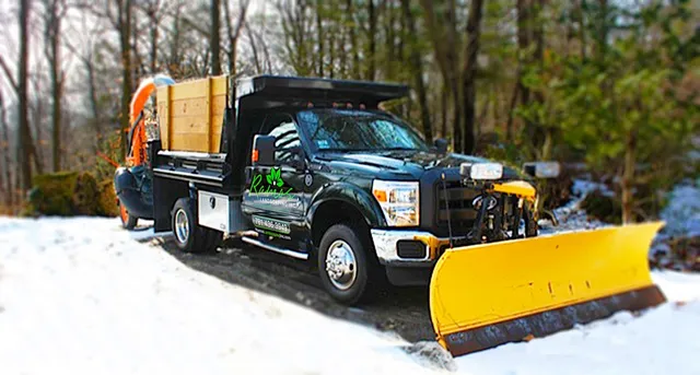 Ramos Landscaping Inc