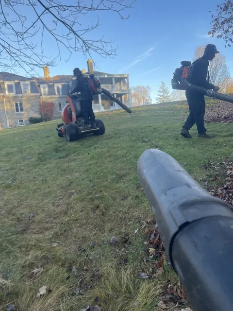 CESAR LANDSCAPING researched project photo