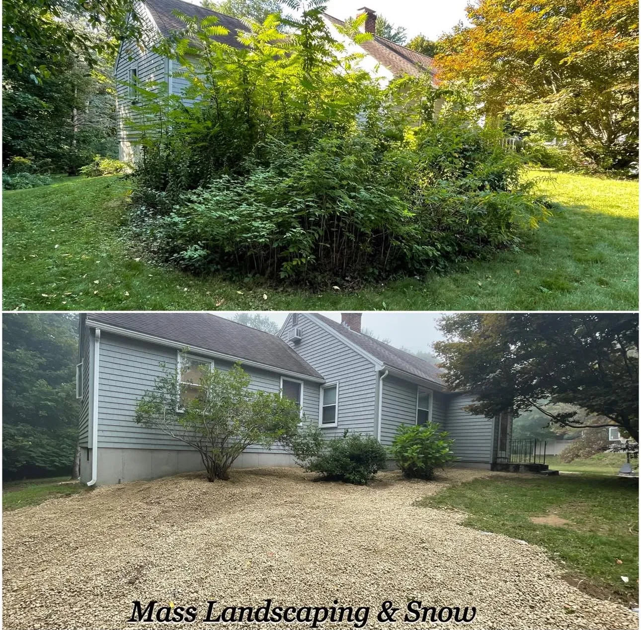 Mass Landscaping & Snow