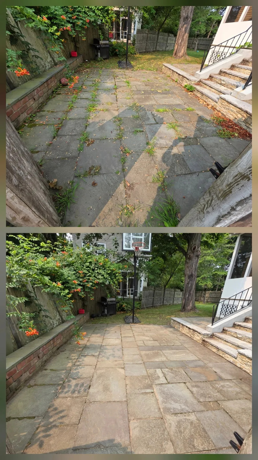 Octavio's Landscape and Lawn Care