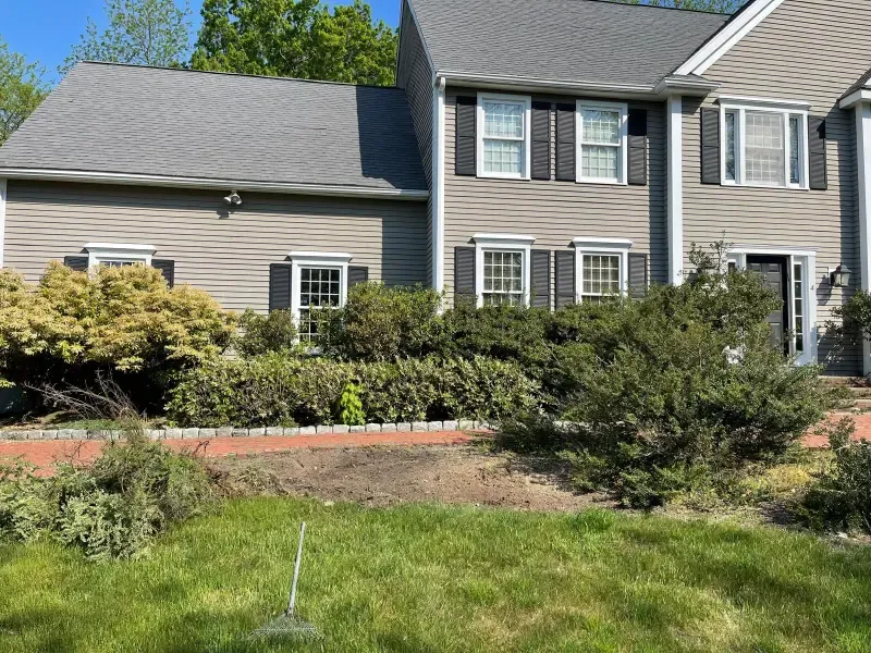 Before - lawn 3