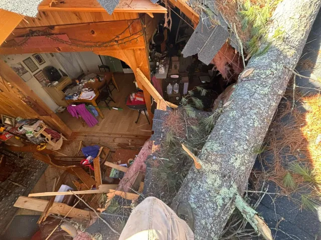 A large fallen tree with a sturdy trunk on the ground amidst other trees, indicating a possible recent storm or accident, with some debris and a person riding a motorcycle nearby.
