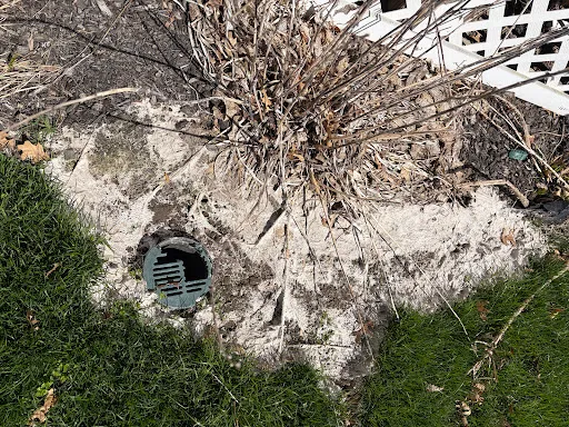 Review photo by julie dalton