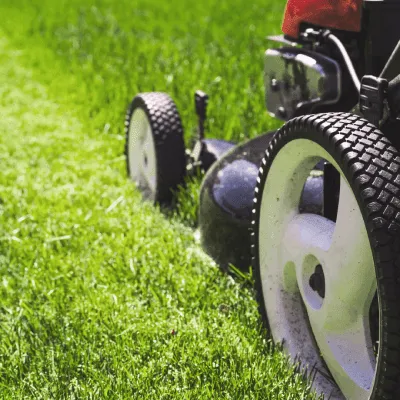 Lawn Mowing